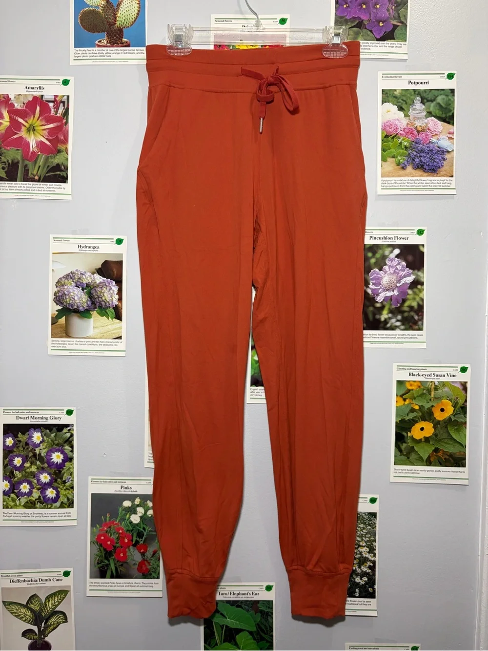 lululemon athletica Rust Orange Track Joggers
